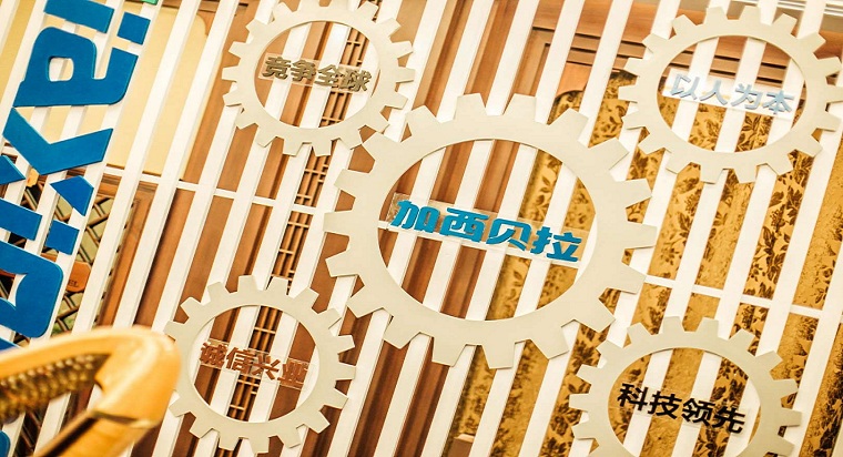 1545197830605155.jpg 9.jpg